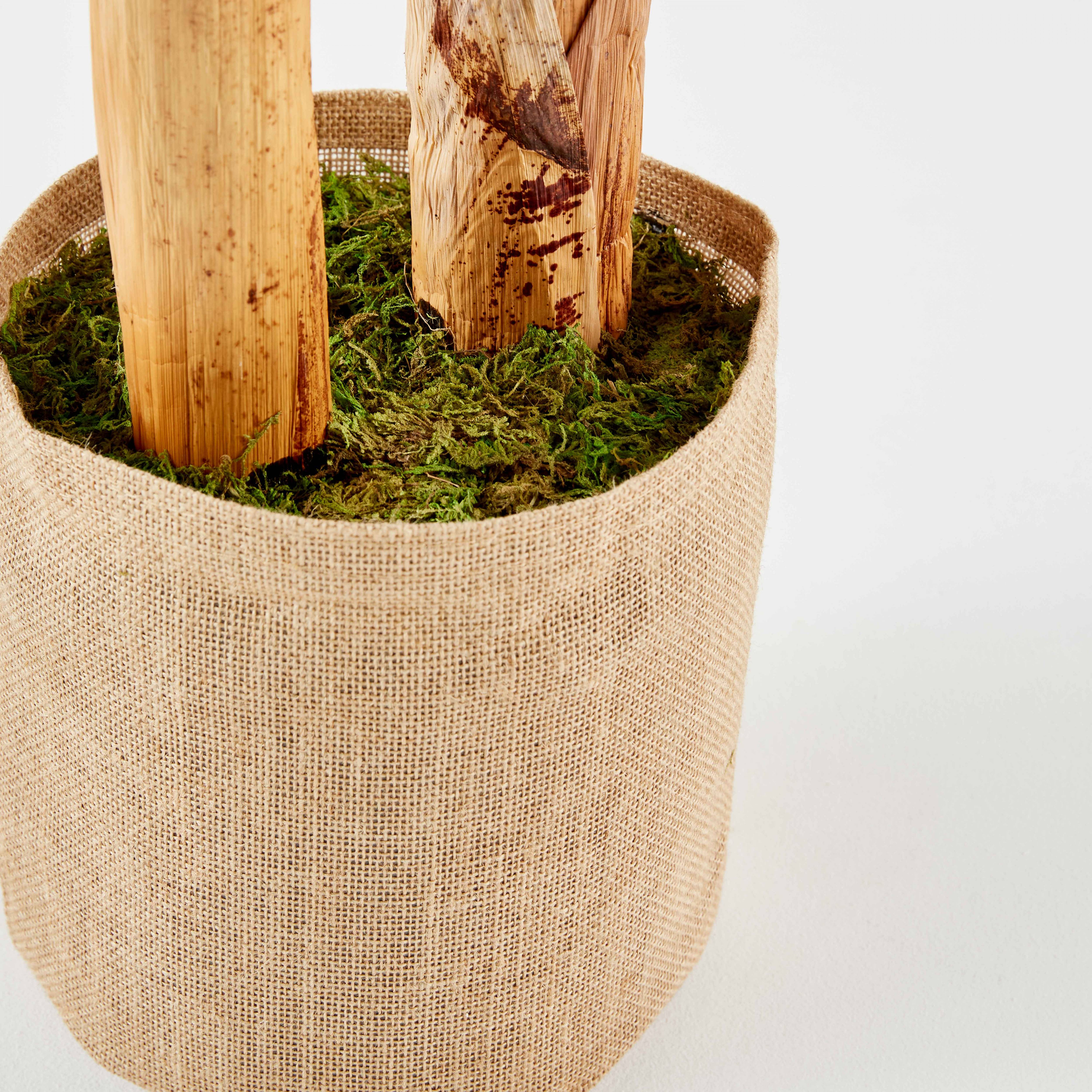 Oviala - Plante artificielle en pot Bananier 180 cm
- Oviala - Image 5