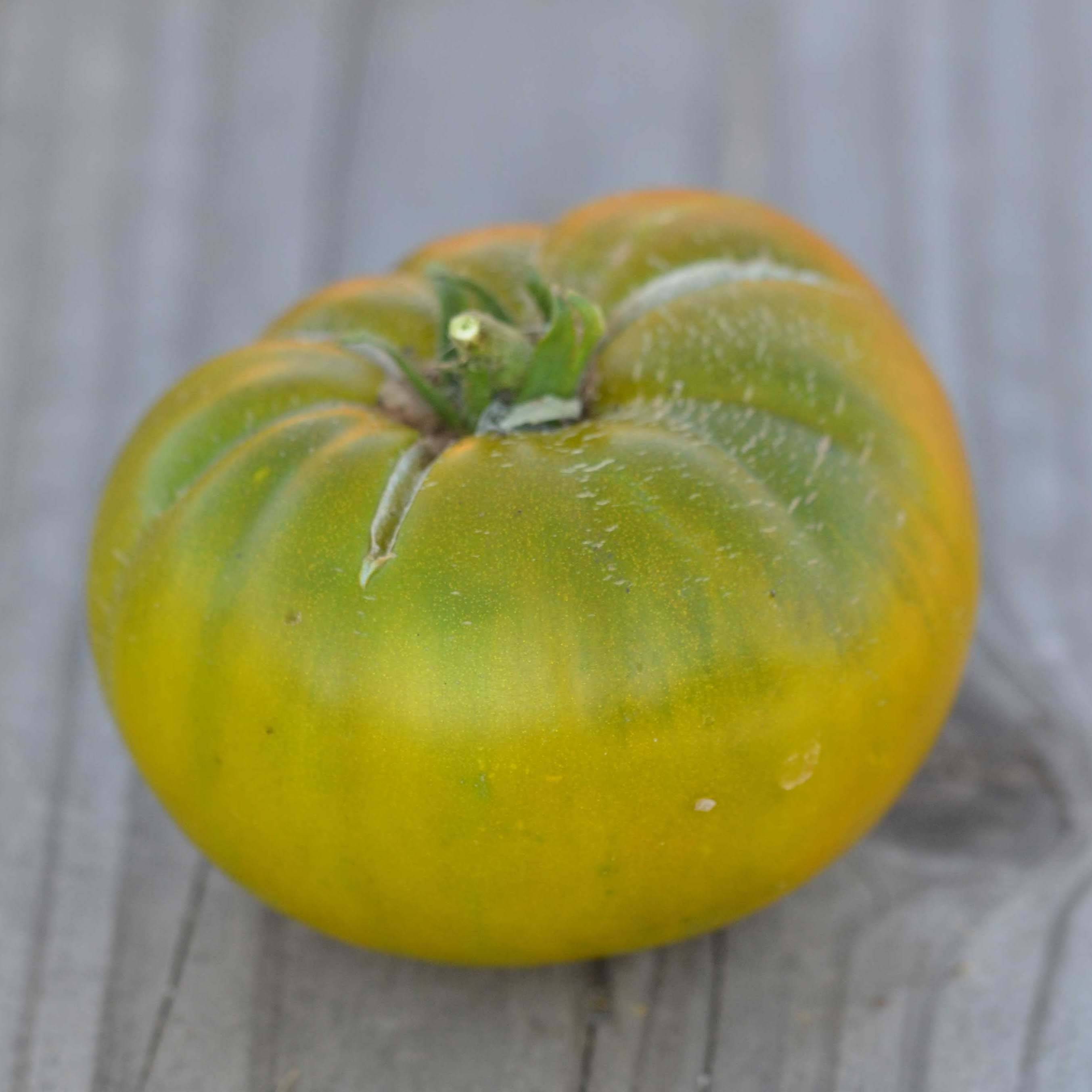 Tomate Green Moldovan Bio - Ferme de Sainte Marthe le sachet de 50 graines environ