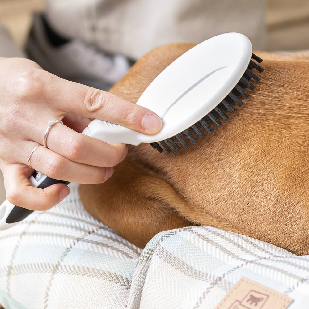 Ferplast - Brosse pour Chiens, Chats et Lapins GRO 5759 PREMIUM, Poils Ssouples, Ergonomique - Image 4