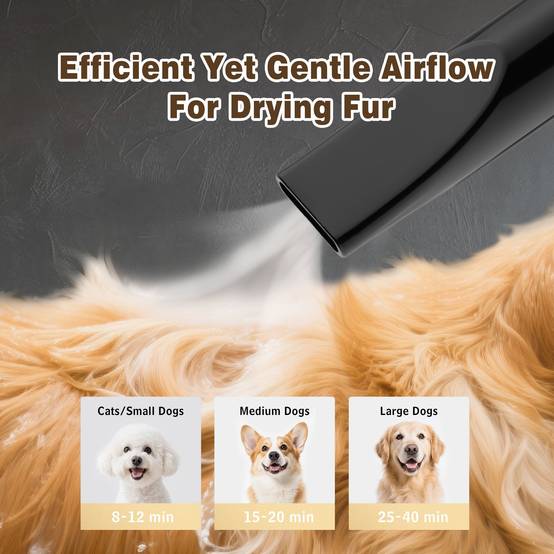 Sèche-Cheveux pour Chien Blower 3200 W, Pulseur Chien avec Aspirateur, Animaux Vitesse et Température Réglable - Image 4