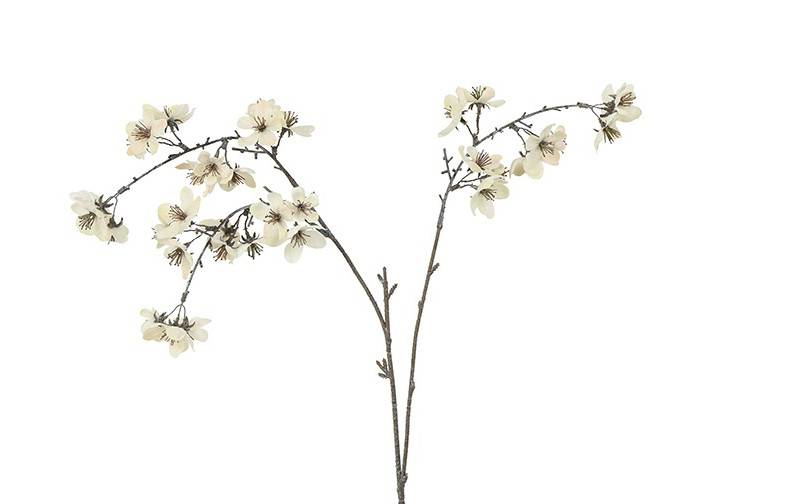 Fleur ramifié Prunus serrulata S crème-14x14x64CM