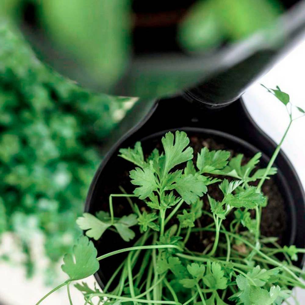 Jardinière verticale CitySens noire avec 3 pots et arrosage automatique Wi-Fi - Image 3
