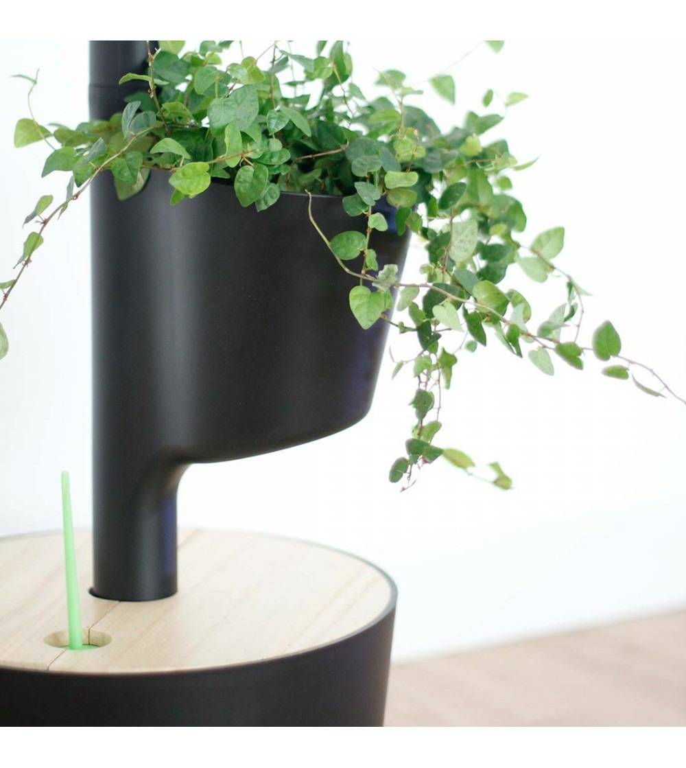 Jardinière verticale CitySens noire avec 3 pots et arrosage automatique Wi-Fi - Image 2
