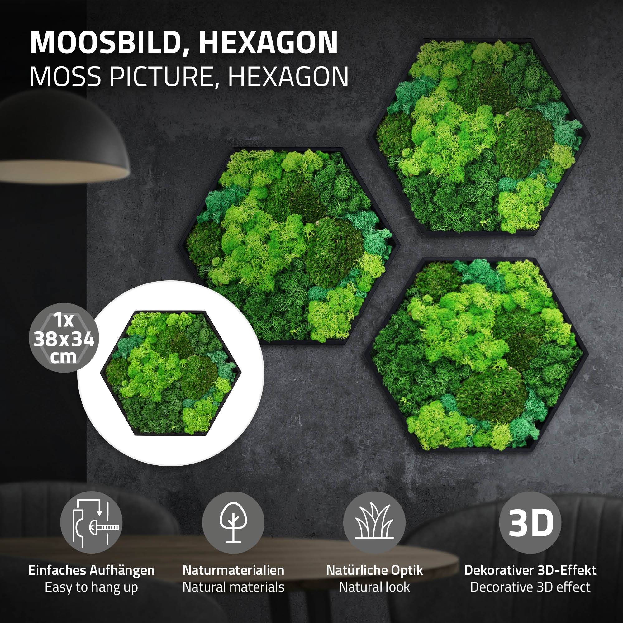 Ecd-Germany - Tableau végétal mural, mélange de mousses stabilisées, hexagonal, 38 x 34 cm, vert, décoration d'intérieur effet 3D, sans entretien, pièce unique - Image 2