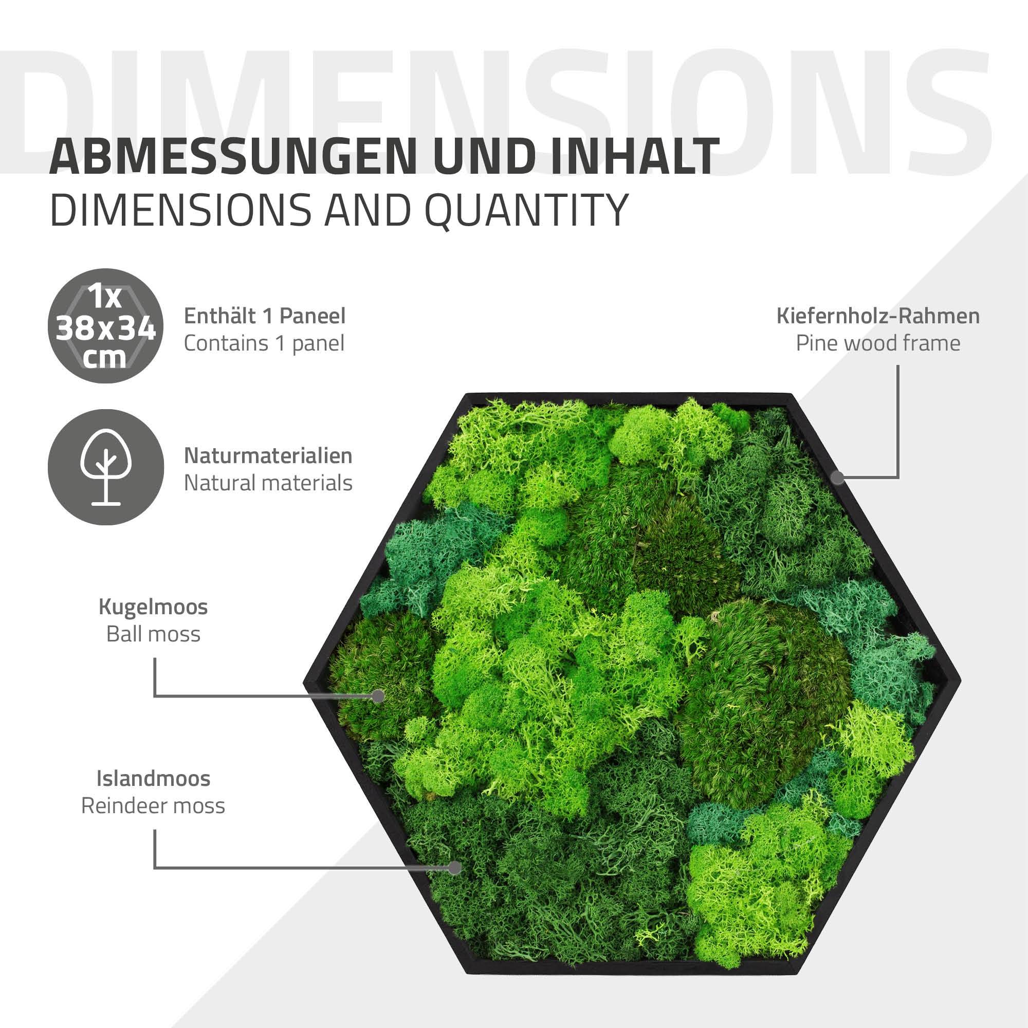 Ecd-Germany - Tableau végétal mural, mélange de mousses stabilisées, hexagonal, 38 x 34 cm, vert, décoration d'intérieur effet 3D, sans entretien, pièce unique - Image 7