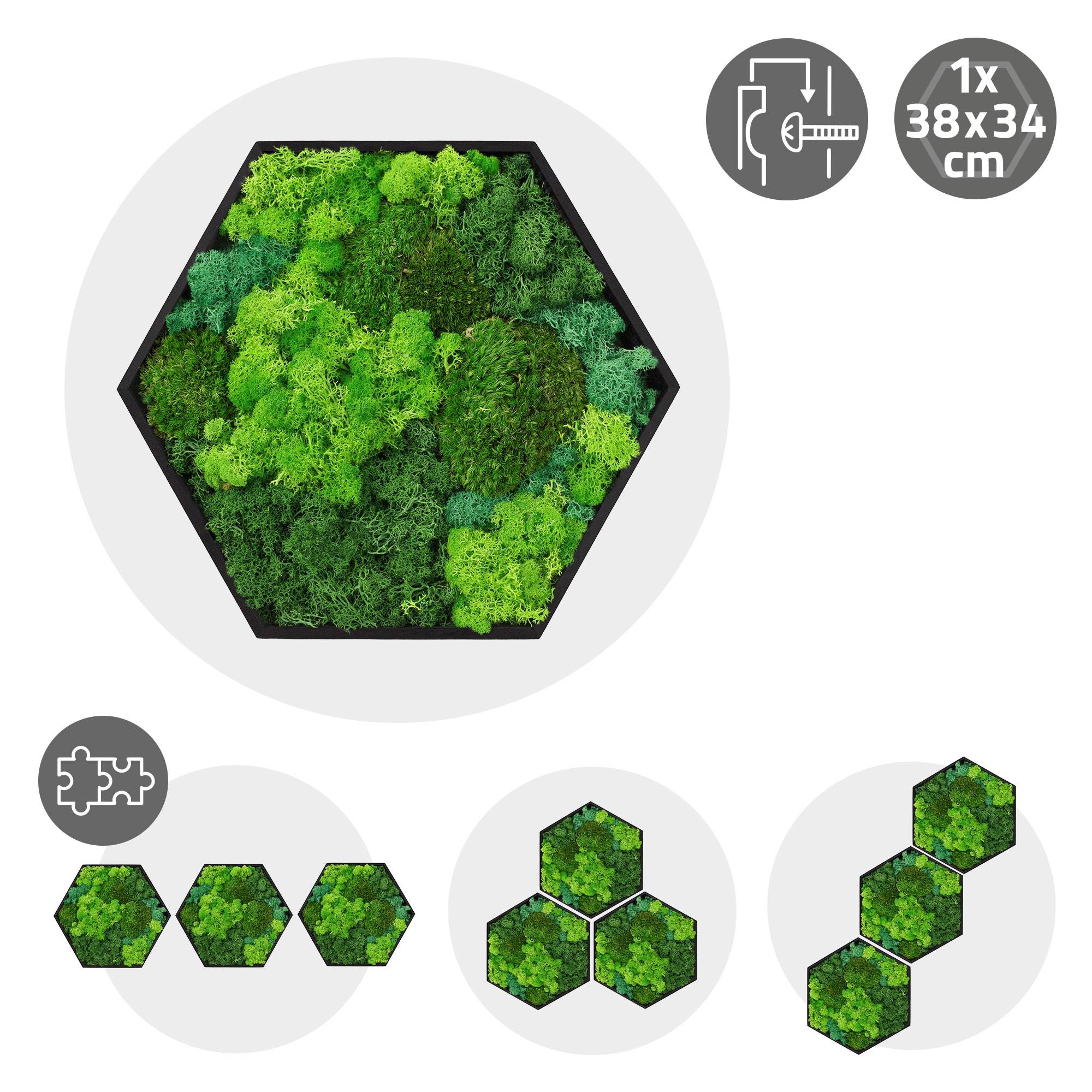 Ecd-Germany - Tableau végétal mural, mélange de mousses stabilisées, hexagonal, 38 x 34 cm, vert, décoration d'intérieur effet 3D, sans entretien, pièce unique - Image 10