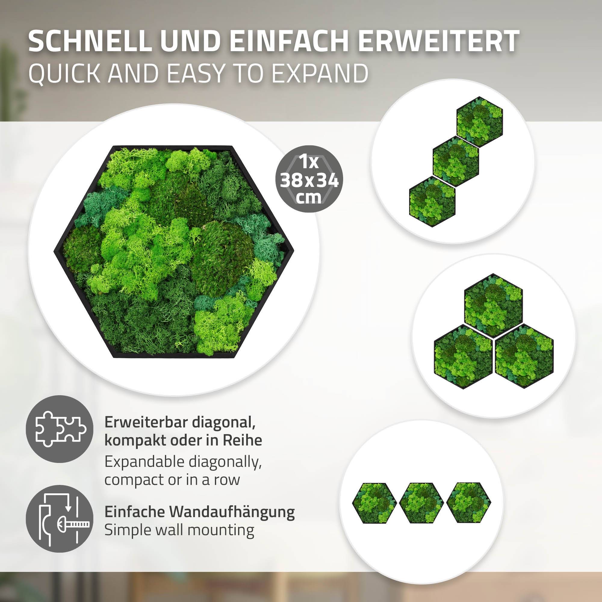 Ecd-Germany - Tableau végétal mural, mélange de mousses stabilisées, hexagonal, 38 x 34 cm, vert, décoration d'intérieur effet 3D, sans entretien, pièce unique - Image 4