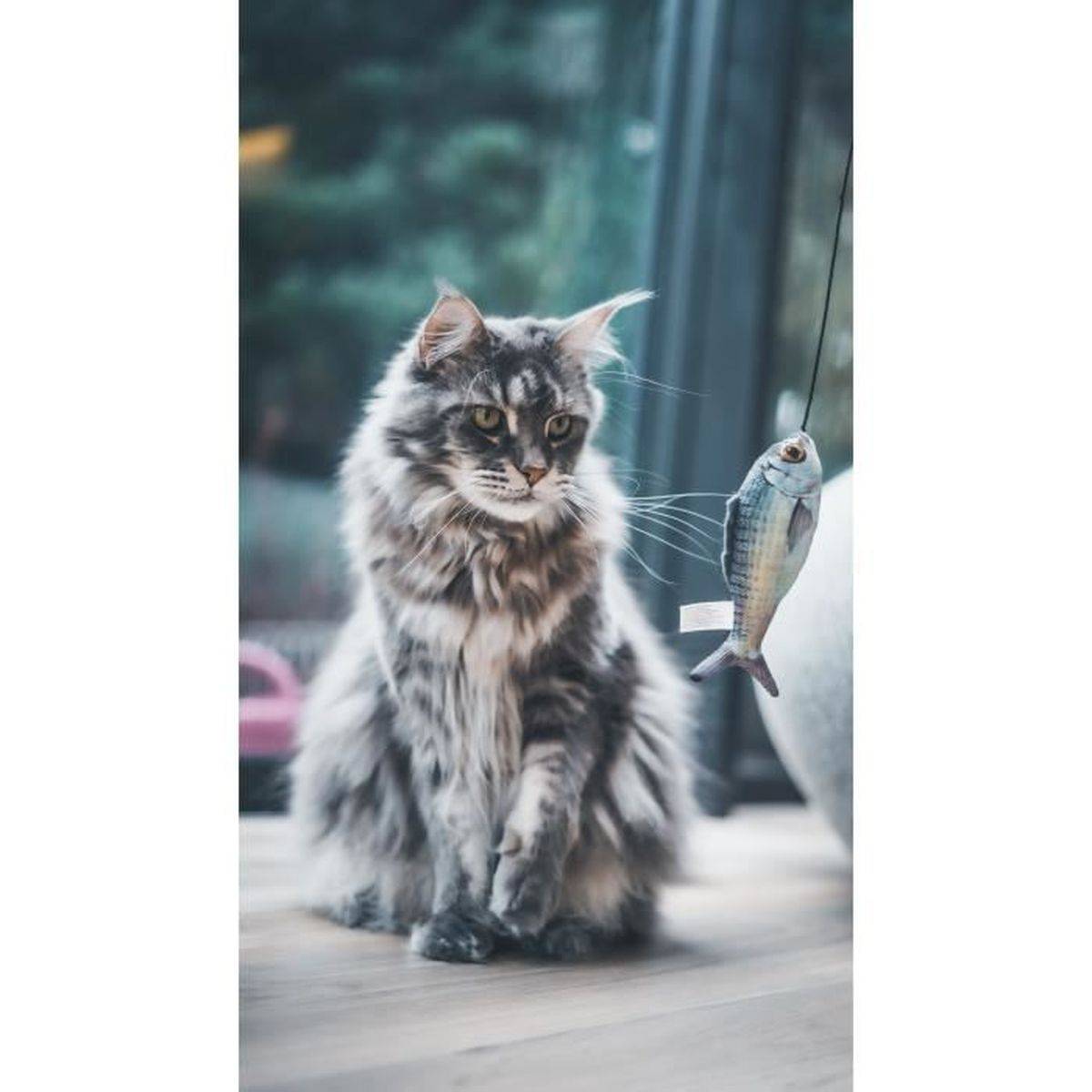 Canne à pêche pour chat avec poisson de 15 cm, bâton en bois et herbe à chat - AIME - Image 3