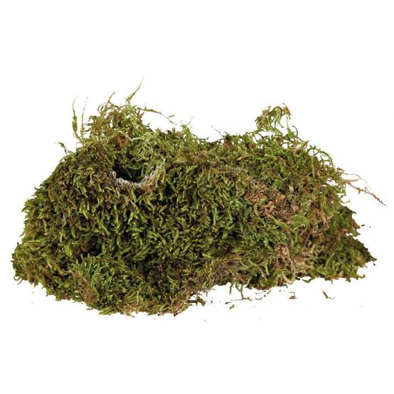 Trixie - Mousse pour terrarium, 200 g, Substrat pour terrariums humides. - Image 2