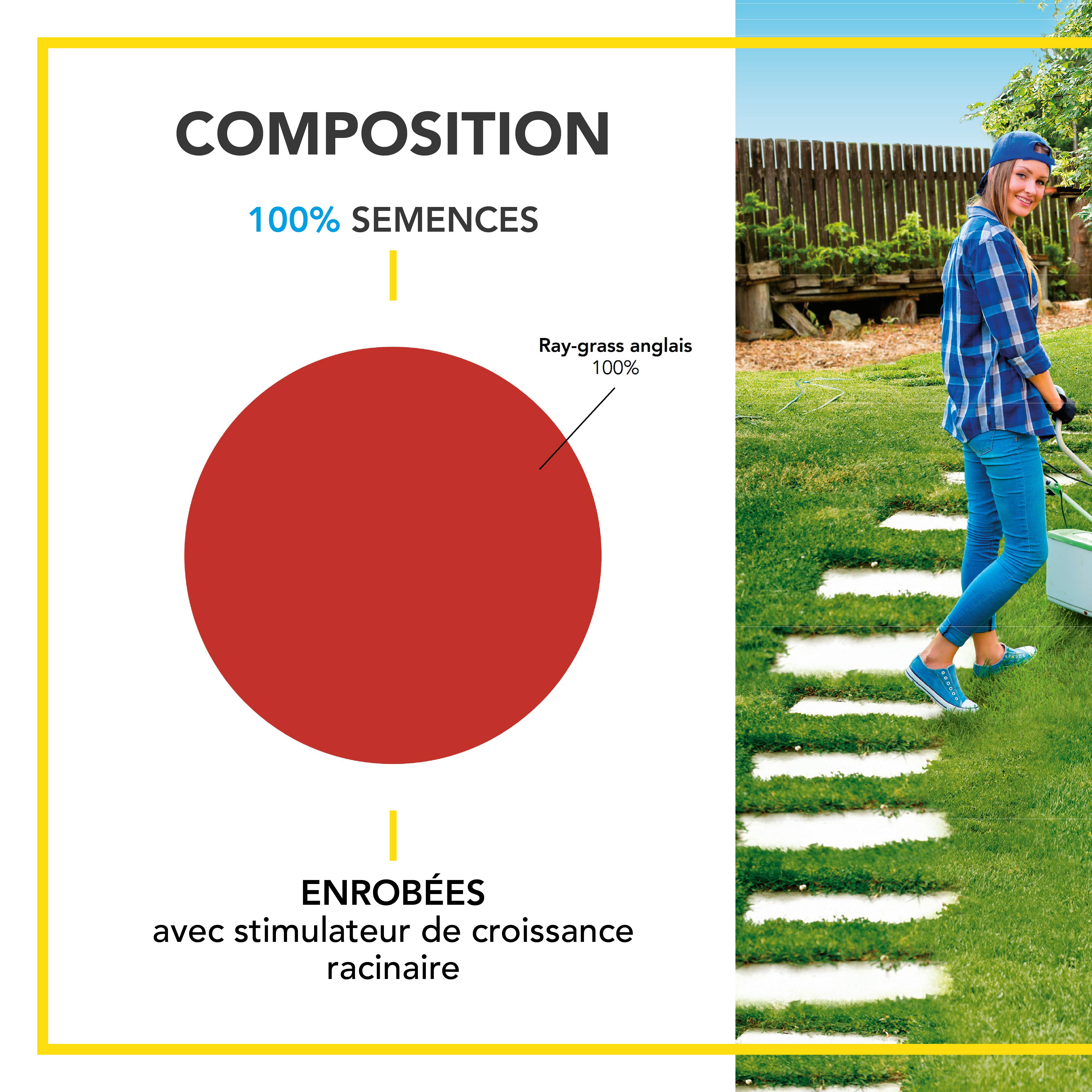 Soin Après Démoussage - Limite Réapparition Mousses - Gazon Dense et Résistant - Germe Très Rapidement - Semences avec Enrobage - 5KG - BARENBRUG - Image 3