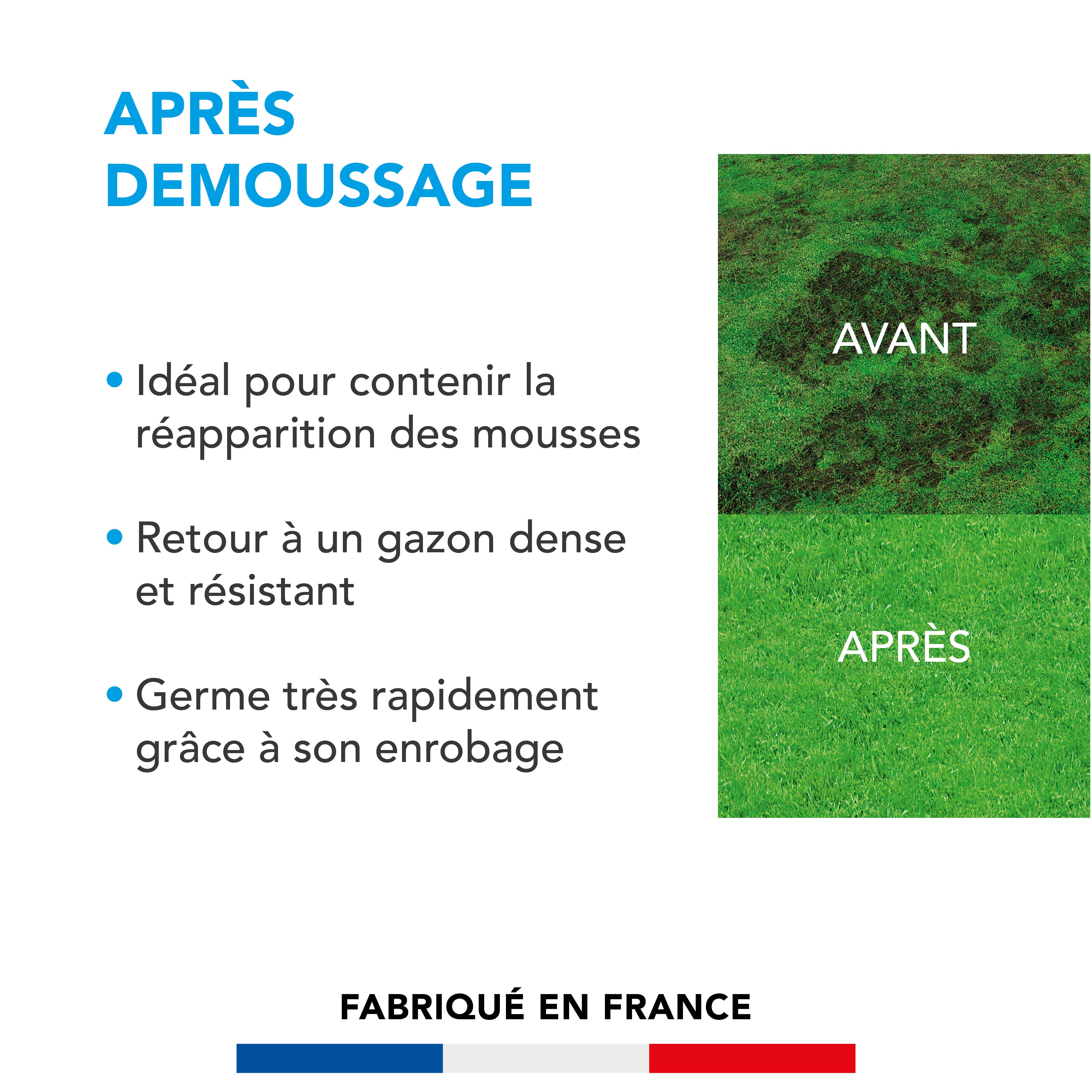 Soin Après Démoussage - Limite Réapparition Mousses - Gazon Dense et Résistant - Germe Très Rapidement - Semences avec Enrobage - 5KG - BARENBRUG - Image 2