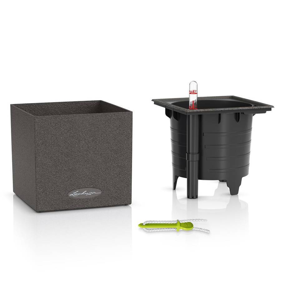 Lechuza - Canto Stone 14 - 14x14x14 cm - Kit Complet, noir graphite Lechuza - Imagen 2