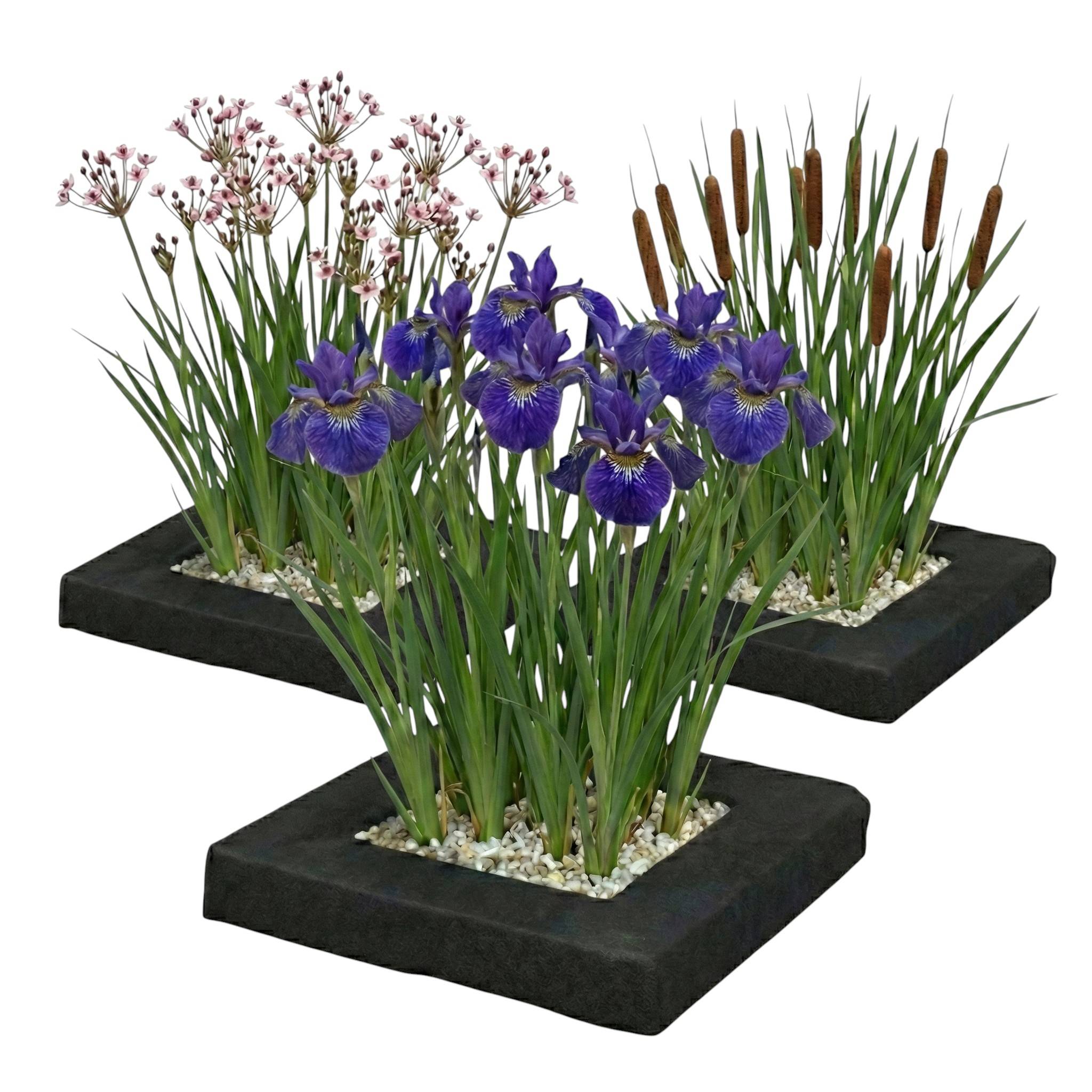 0 - Set Île Plantes Bassin 3 pièces - Set Complet avec 12 Plantes Aquatiques