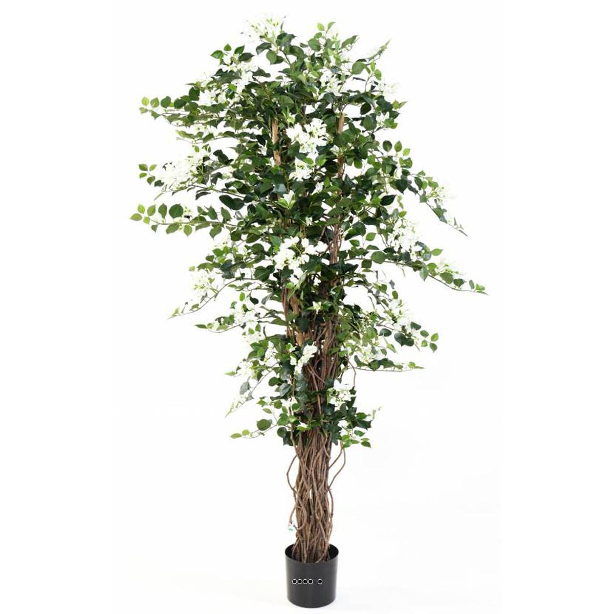 Artificielles - Bougainvillier arbre Crème factice H180cm L80cm Feuille textile en pot - couleur: Crème