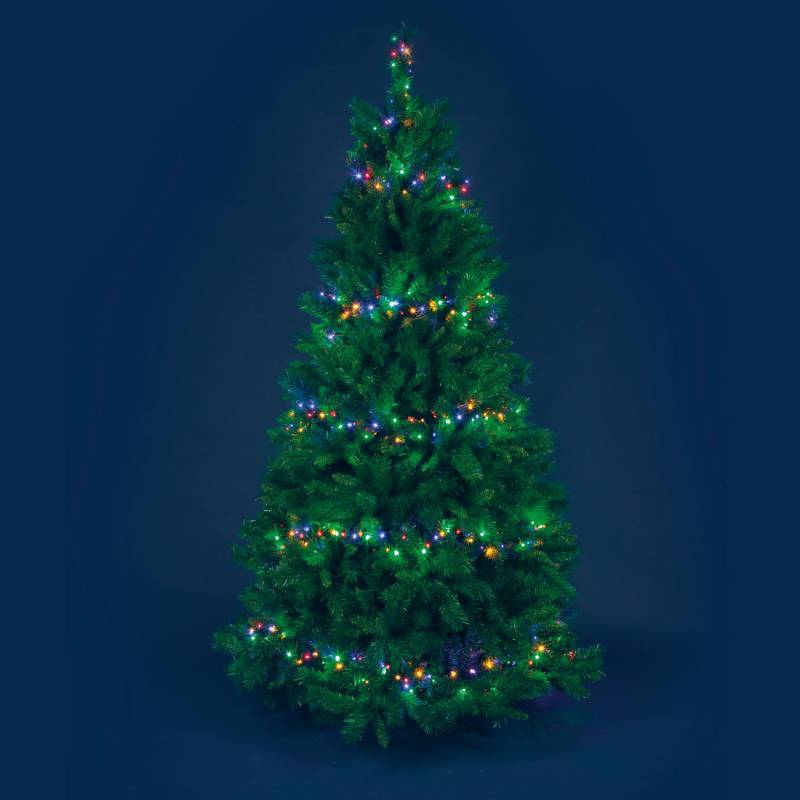 Lotti - Guirlande multicolore BOA 6cm 15M 8 animations 720 LED câble vert Lotti - Imagen 6
