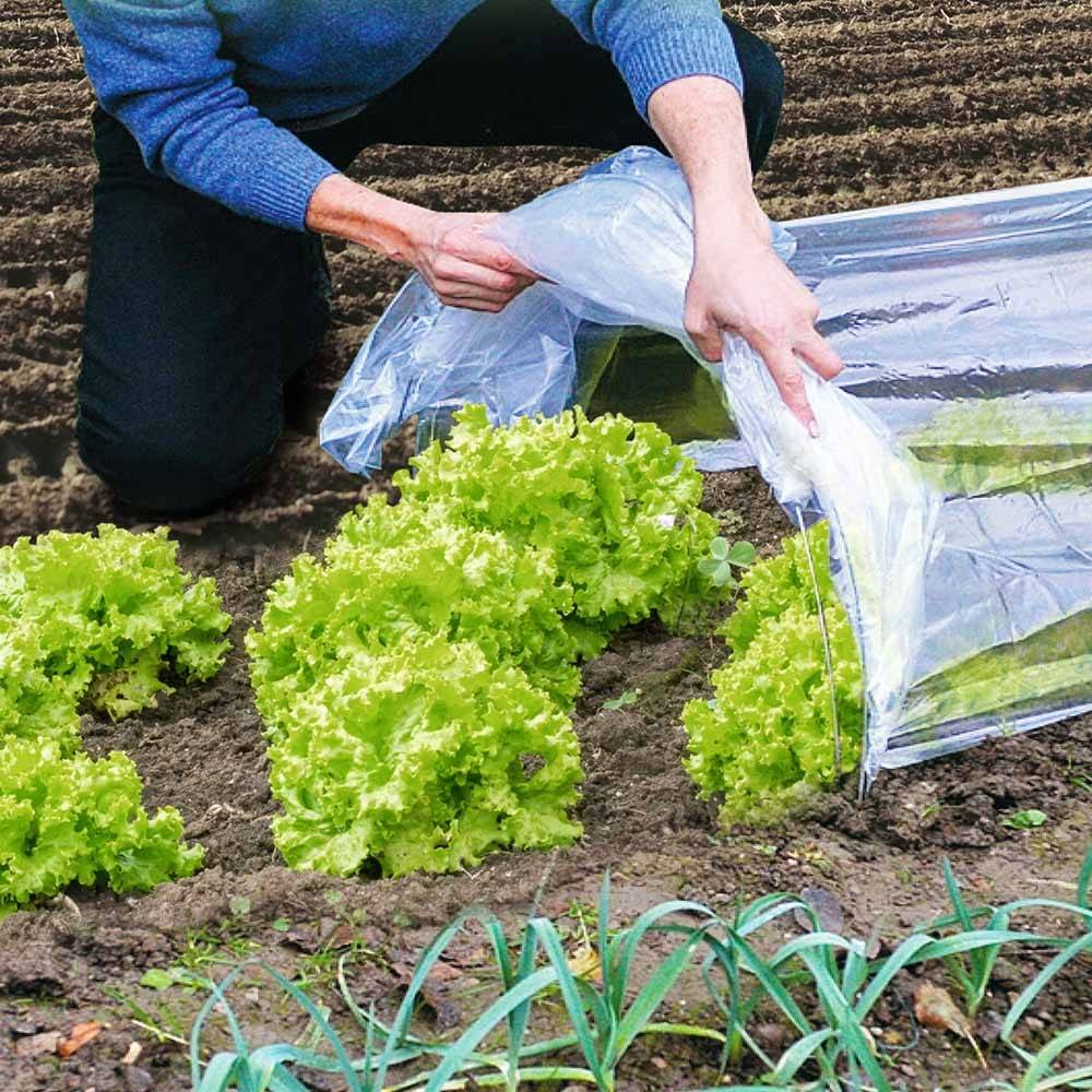 Terre Jardin - Tunnel de forçage accordéon souple 4 mètres - Image 2