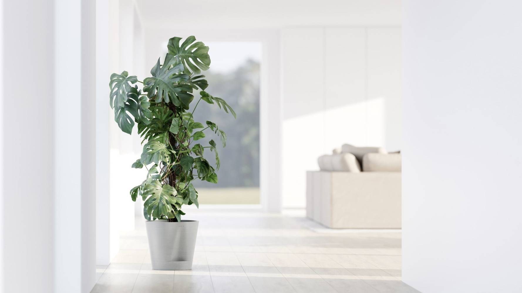 Ecopots - Pot Rond Venice 2 Blanc Gris + réservoir d'eau - Ø 30 x H. 26,3 cm - 4 L ECOPOTS - Imagen 3