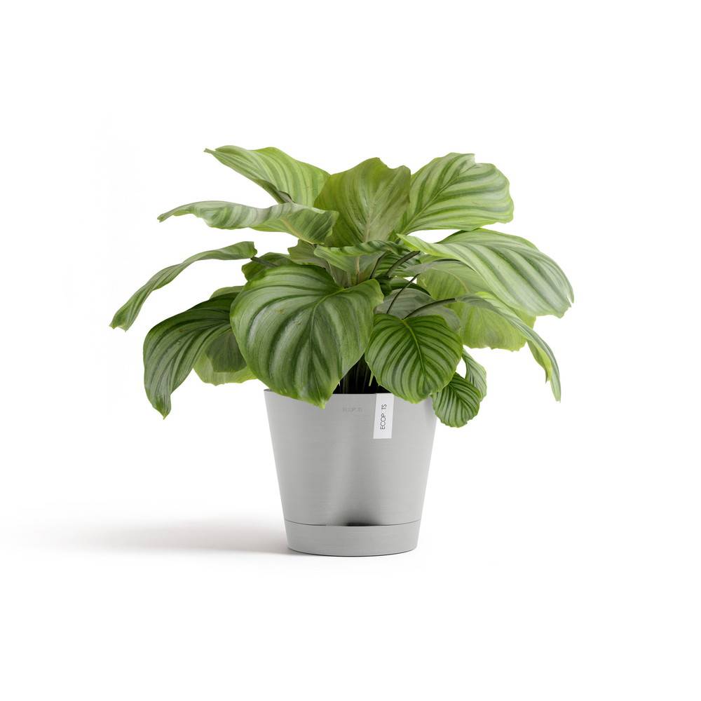 Ecopots - Pot Rond Venice 2 Blanc Gris + réservoir d'eau - Ø 30 x H. 26,3 cm - 4 L ECOPOTS - Imagen 2