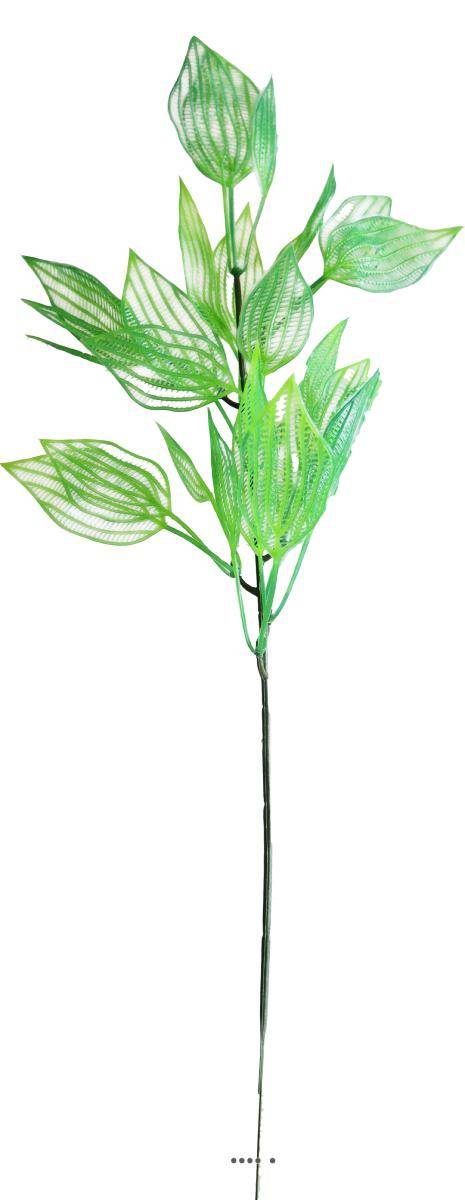 Artificielles - Branche de feuilles d'aponogeton factice H45cm plastique ext. Vert été - couleur: Vert été - Imagen 1