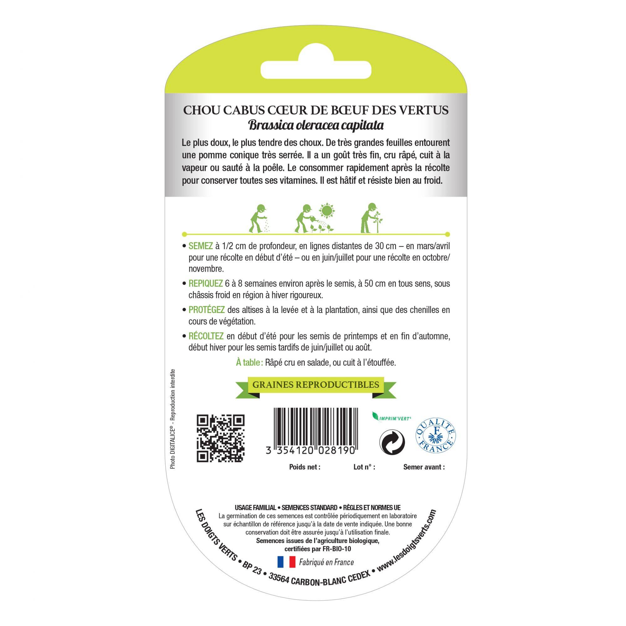 Graines Chou cabus coeur boeuf des vertus BIO Les Doigts Verts - Image 1