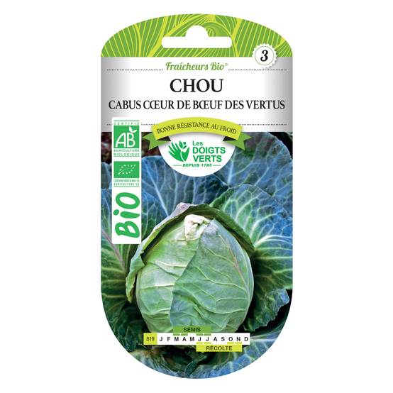 Graines Chou cabus coeur boeuf des vertus BIO Les Doigts Verts - Image 2