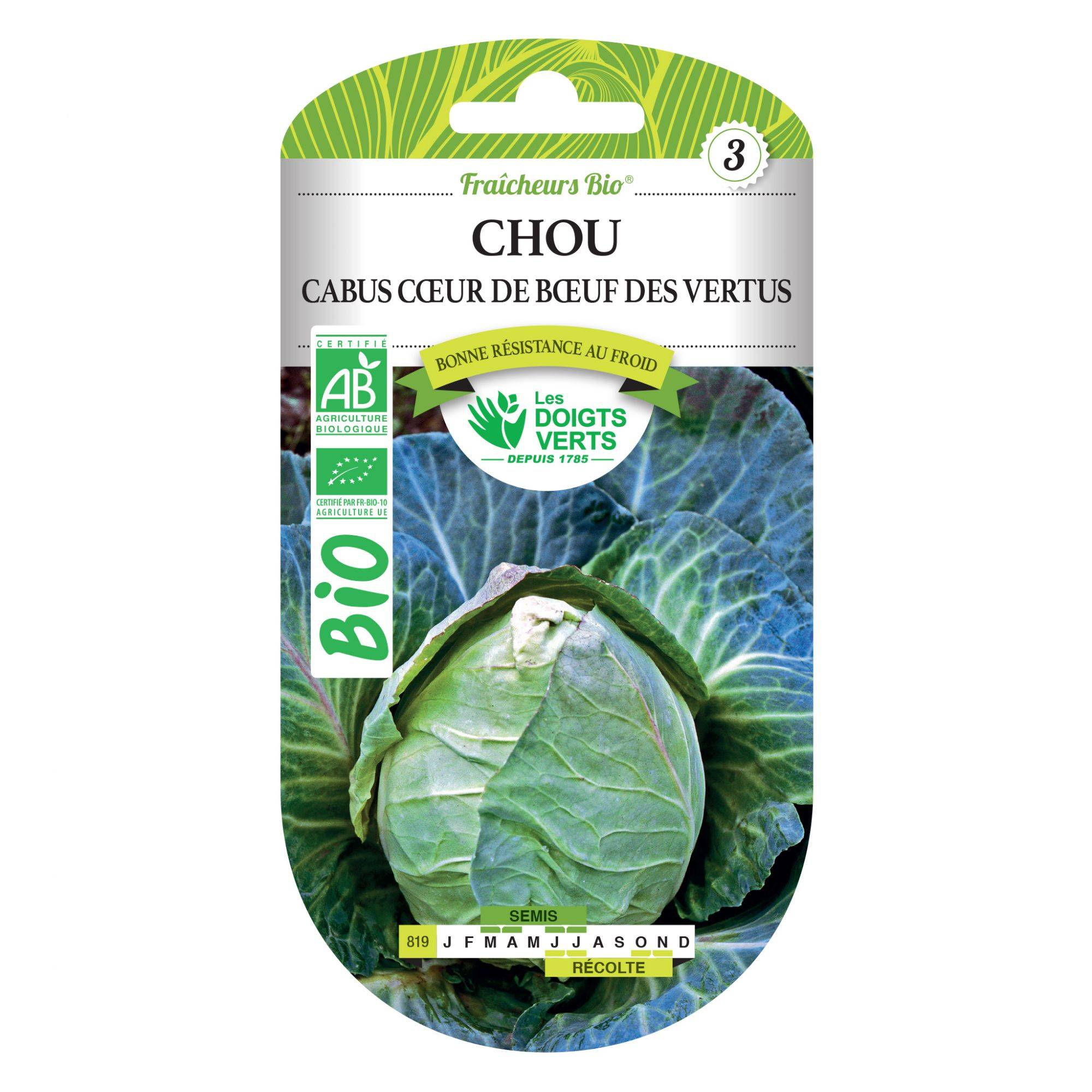 Graines Chou cabus coeur boeuf des vertus BIO Les Doigts Verts - Image 2