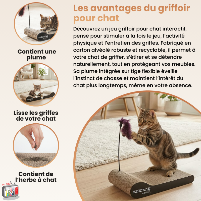 Jouet Chat Interactif | Jouet pour Chat | Griffoir pour Chat en Carton | Accessoire Stimulation Comportement Félin- VENTEO - Image 3