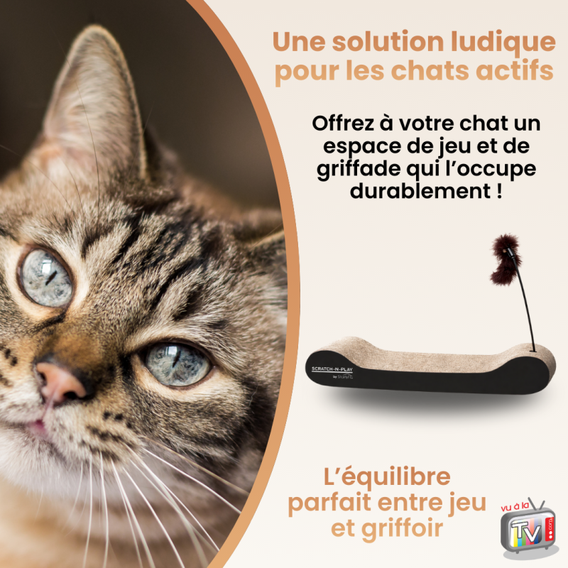 Jouet Chat Interactif | Jouet pour Chat | Griffoir pour Chat en Carton | Accessoire Stimulation Comportement Félin- VENTEO - Image 6