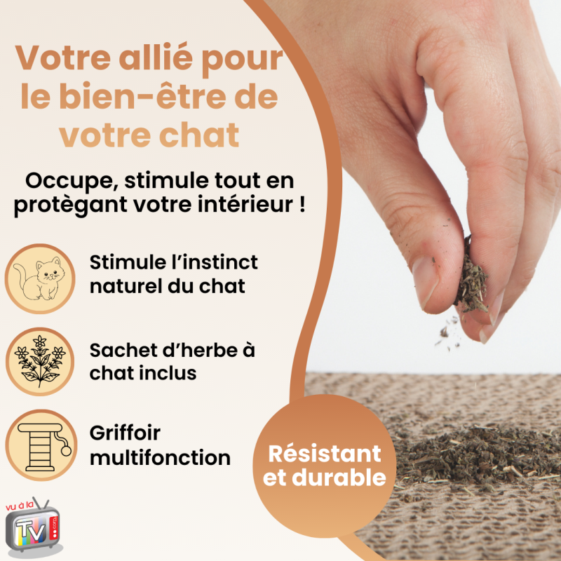 Jouet Chat Interactif | Jouet pour Chat | Griffoir pour Chat en Carton | Accessoire Stimulation Comportement Félin- VENTEO - Image 5