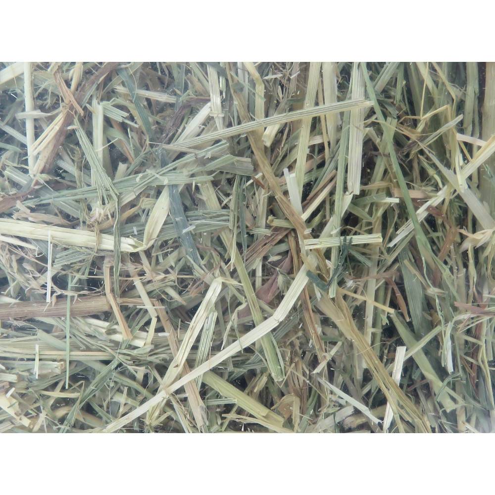 Foin alpage, menthe et camomille, 1 kg, pour rongeur - Image 1