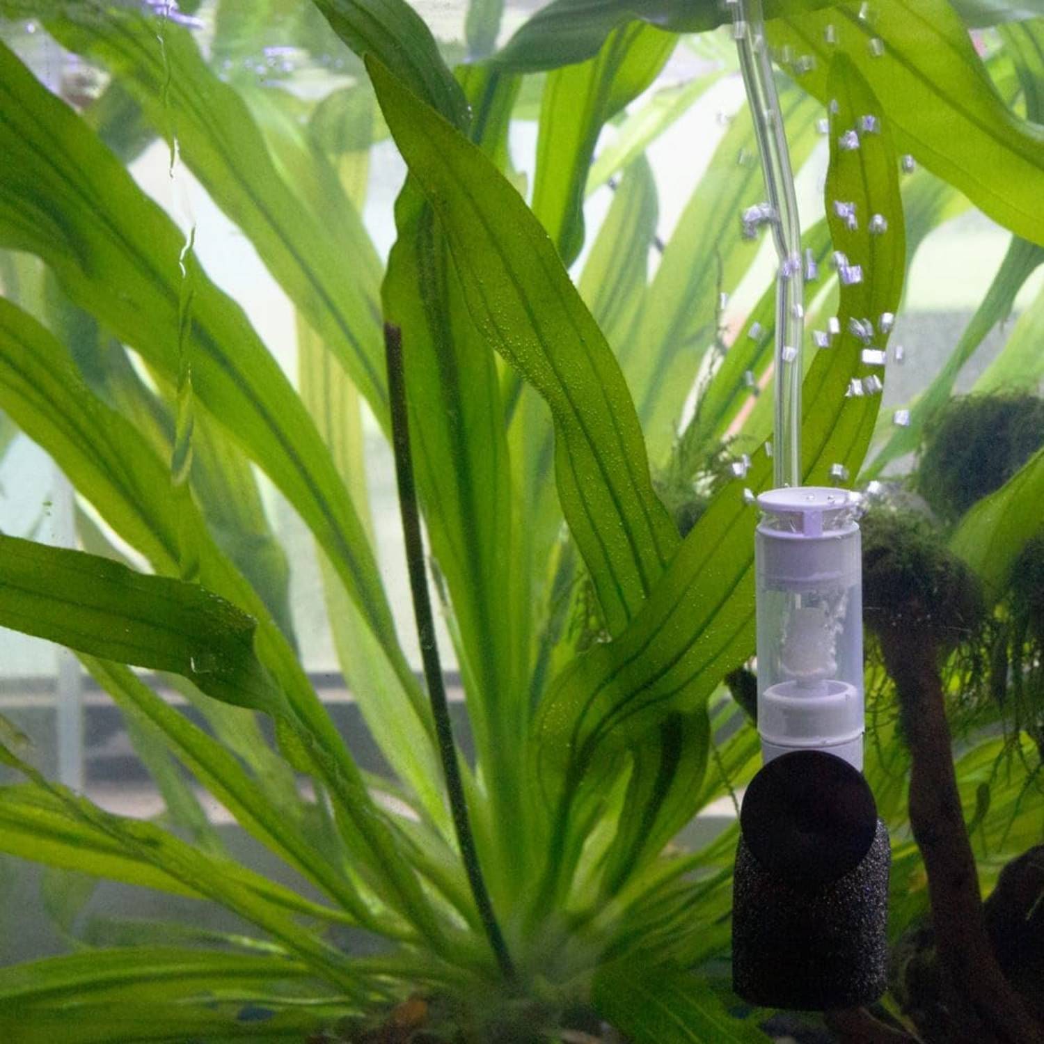 2 Filtres Miniatures pour Aquarium  DtopbuyAge - Image 5