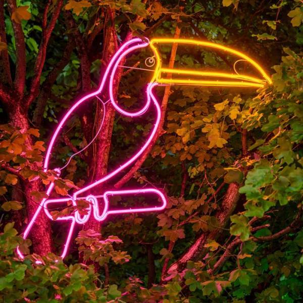 Lotti - Lampe néon déco toucan 560 LED rose et orange 90x95 cm IP44 24V Lotti - Imagen 1