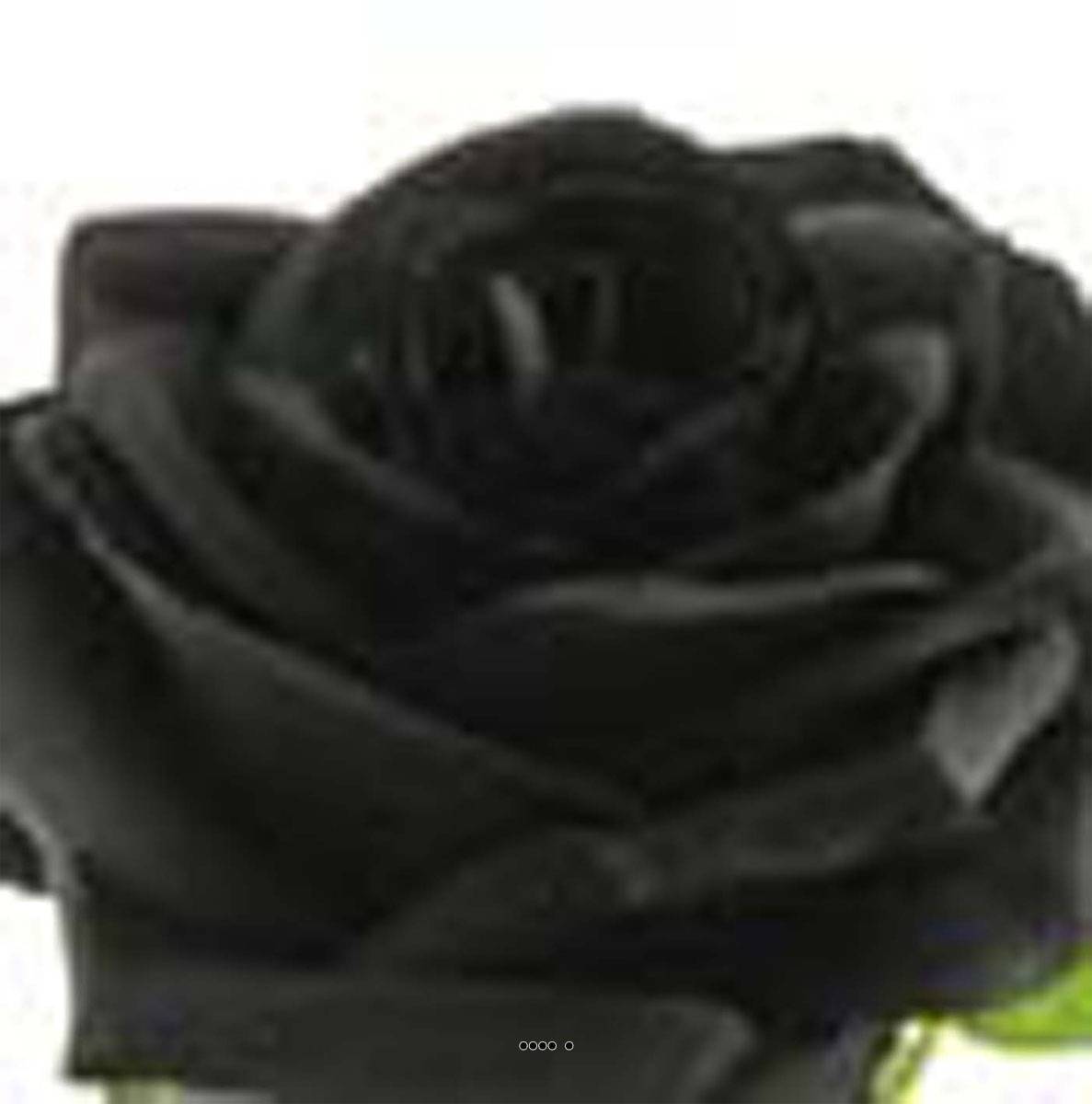 Artificielles - Rose artificielle Paris H 64 cm Superbe tete D 9 cm 12 feuilles en tissu - BEST Noir - couleur: Noir - Imagen 3