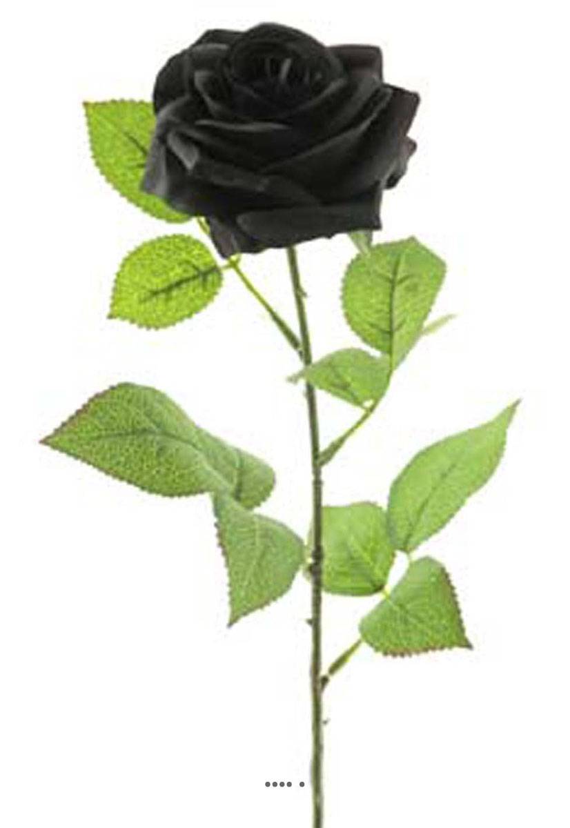 Artificielles - Rose artificielle Paris H 64 cm Superbe tete D 9 cm 12 feuilles en tissu - BEST Noir - couleur: Noir - Imagen 1