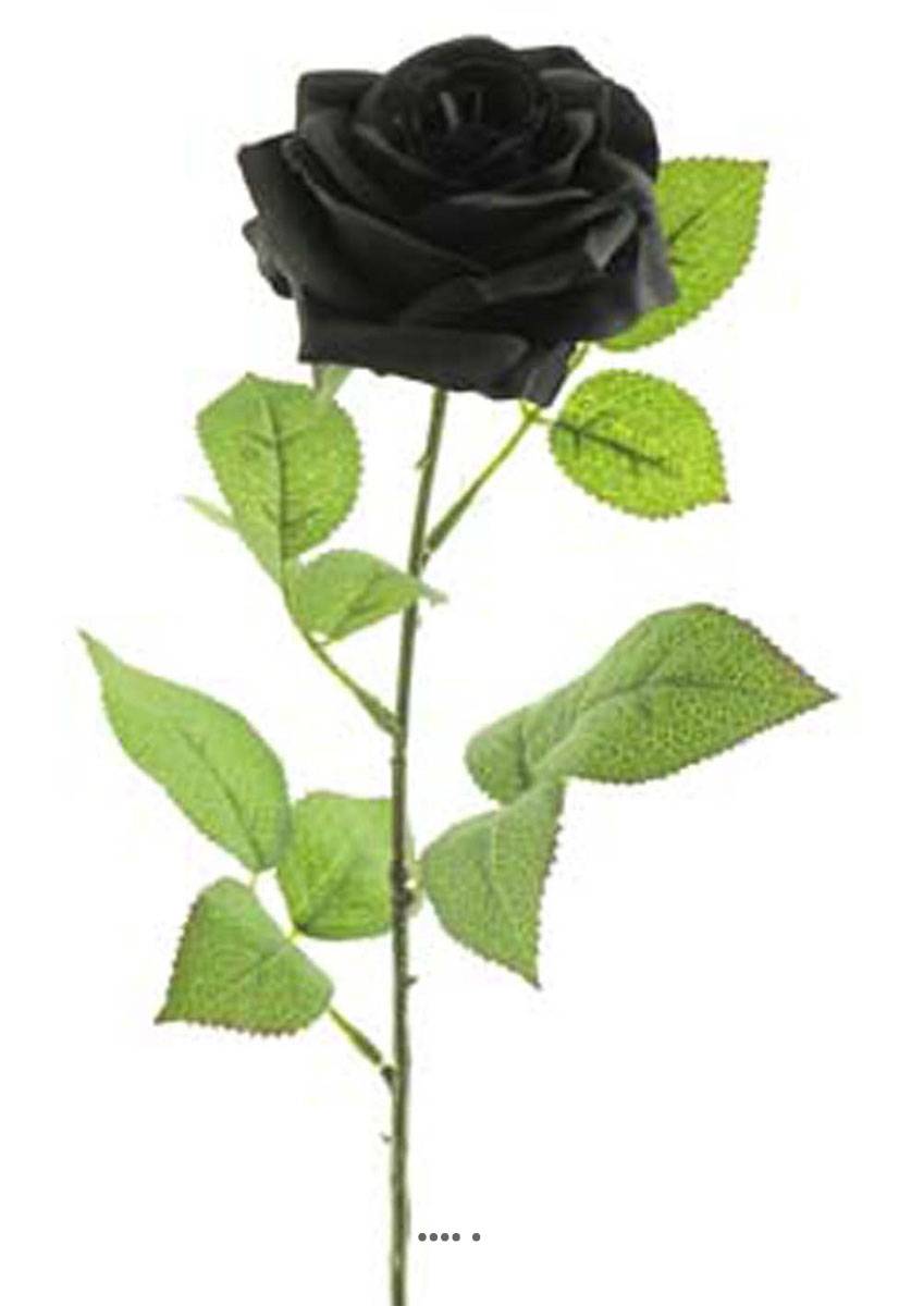 Artificielles - Rose artificielle Paris H 64 cm Superbe tete D 9 cm 12 feuilles en tissu - BEST Noir - couleur: Noir - Imagen 2