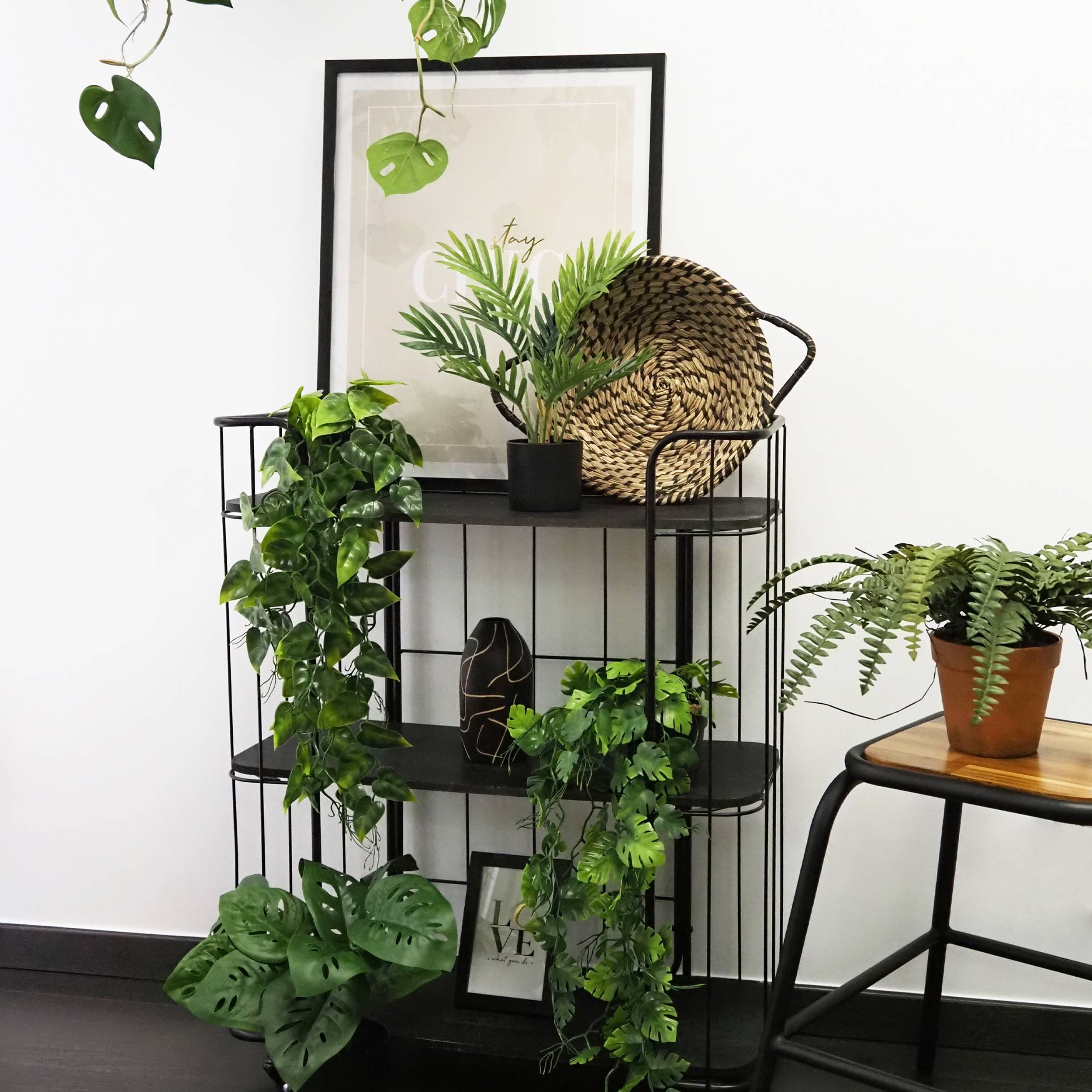 Ligne Deco - Plante succulente retombante artificielle 50cm lot de 2 - Image 2