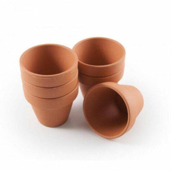 Radis et Capucine - Radis et Capucine - Lot 30 pots en terre cuite Ø5,5cm