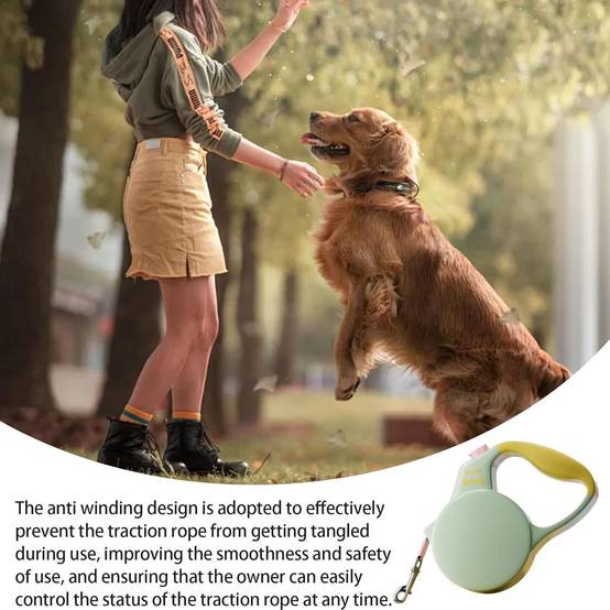 Laisse Rétractable Robuste pour Chien DtopbuyAge - Image 3