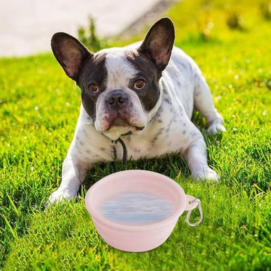 Gamelle Pliable Pour Chien En Voyage DtopbuyAge - Image 2
