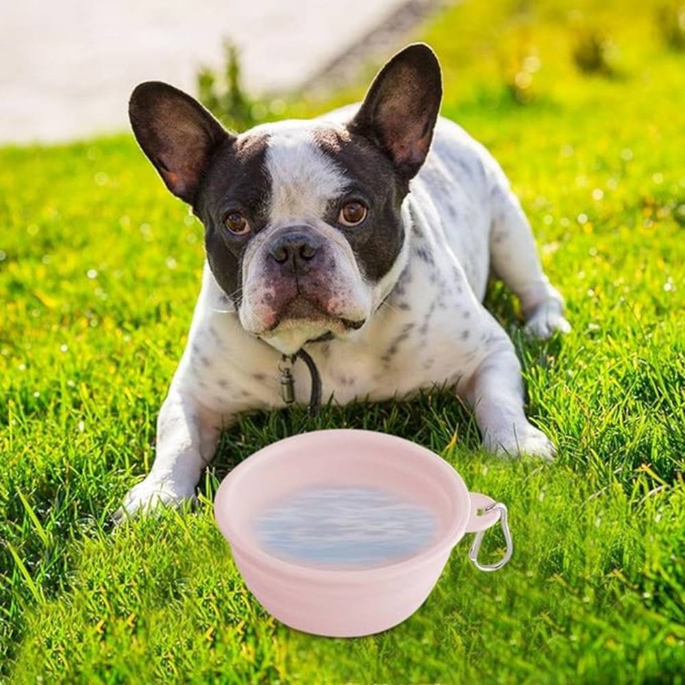Gamelle Pliable Pour Chien En Voyage DtopbuyAge - Image 2