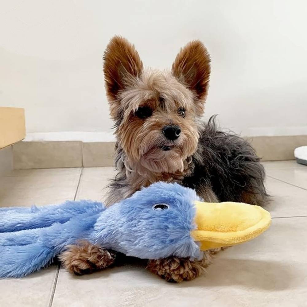 IntiMeg - Jouet en peluche pour chien en forme de canard IntiMeg - Image 4