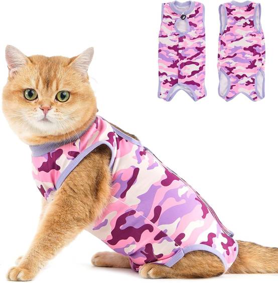 Combinaison de Récupération pour Chat Anti Léchage Violetcamo L