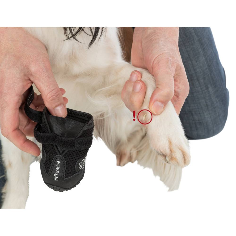 Bottes de protection Walker Active, taille: S-M pour chien - Image 6