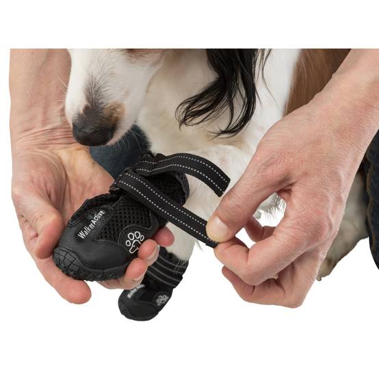 Bottes de protection Walker Active, taille: S-M pour chien - Image 9