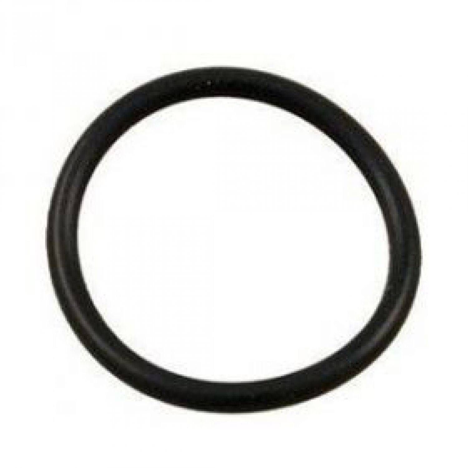 Hayward - Joint torique de cuve pour filtre à cartouche de piscine - Noir - CX250Z7 - Hayward