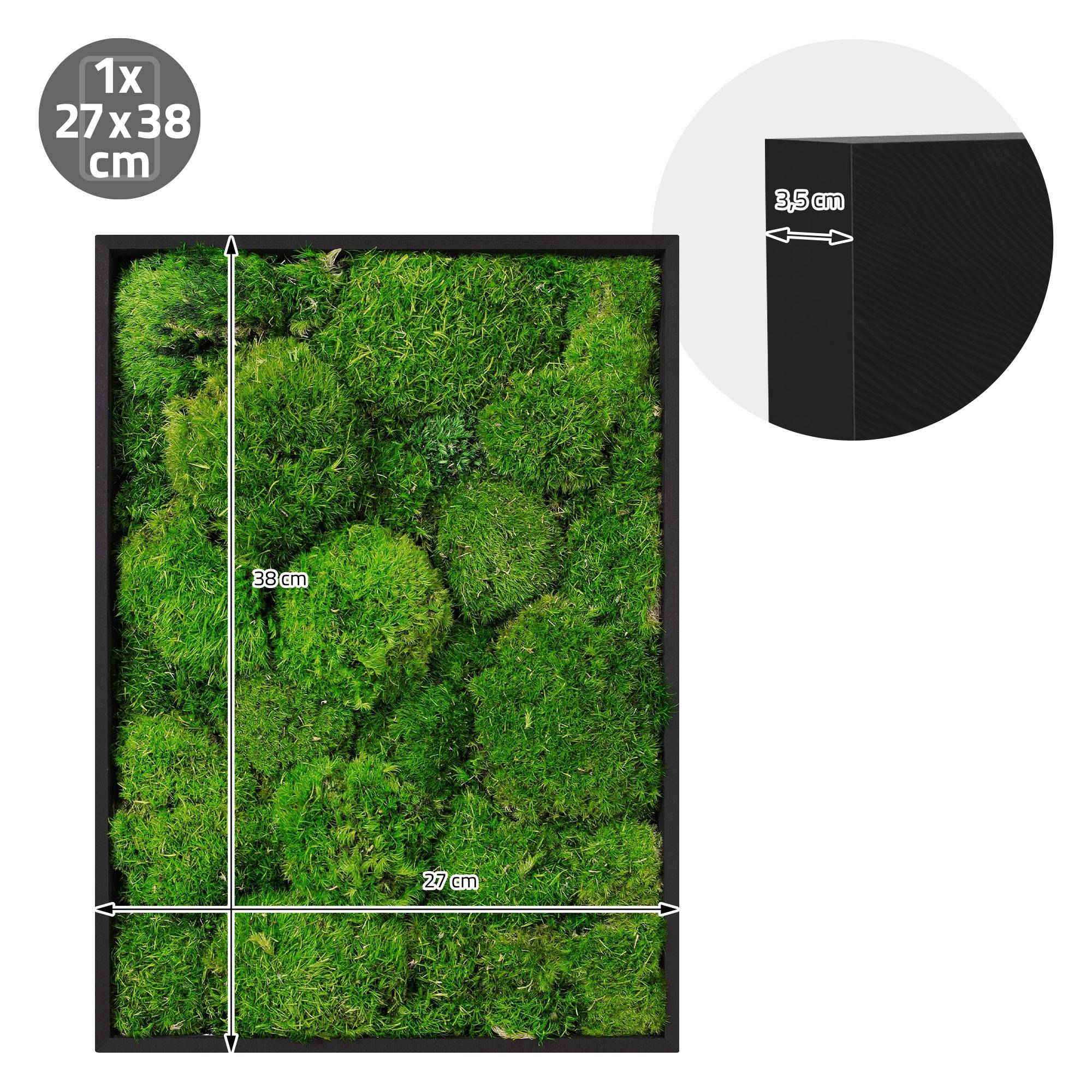 Ecd-Germany - Tableau en mousse boule stabilisée, hexagonal, 38 x 27 cm, vert, décoration murale végétale d'intérieur, cadre en bois, sans arrosage ni entretien - Image 8