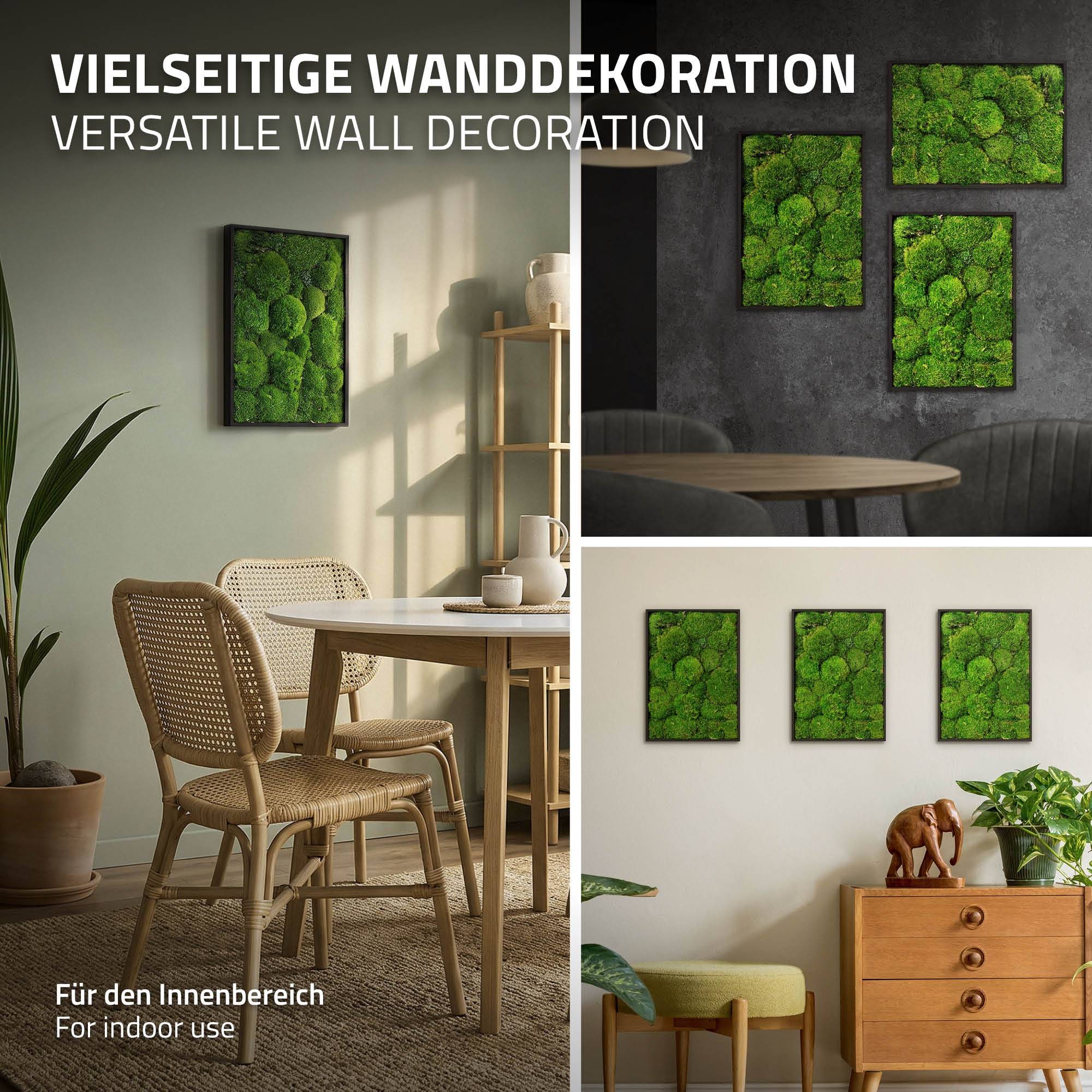 Ecd-Germany - Tableau en mousse boule stabilisée, hexagonal, 38 x 27 cm, vert, décoration murale végétale d'intérieur, cadre en bois, sans arrosage ni entretien - Image 5
