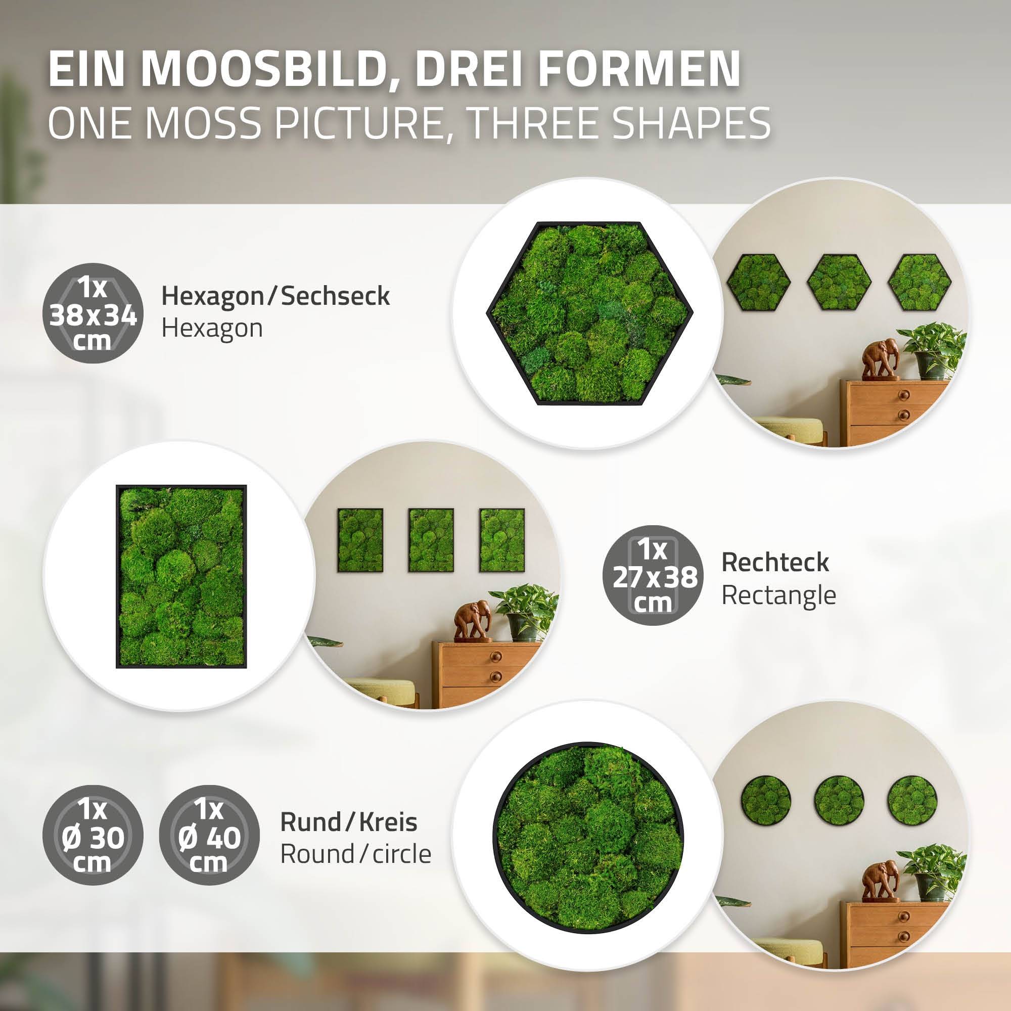 Ecd-Germany - Tableau en mousse boule stabilisée, hexagonal, 38 x 27 cm, vert, décoration murale végétale d'intérieur, cadre en bois, sans arrosage ni entretien - Image 6