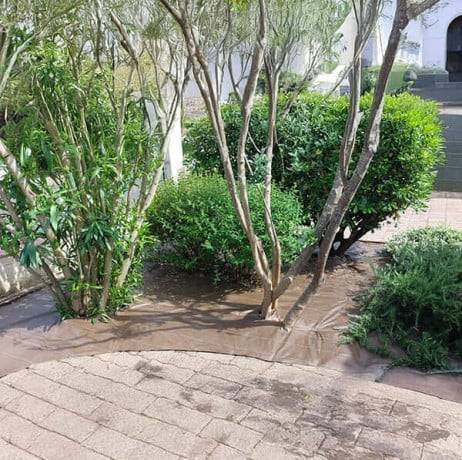 Plastidis - Toile de paillage tissée 130g/m² - Long 100 m, Couleur Noir, Larg 4.20 m - Imagen 4