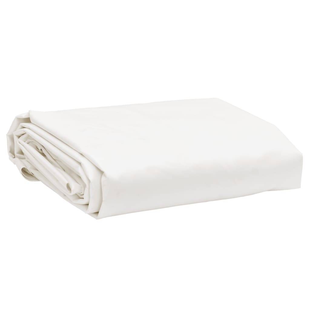 Bache Dario Vert 5 X 6 - P87211V - Image 1